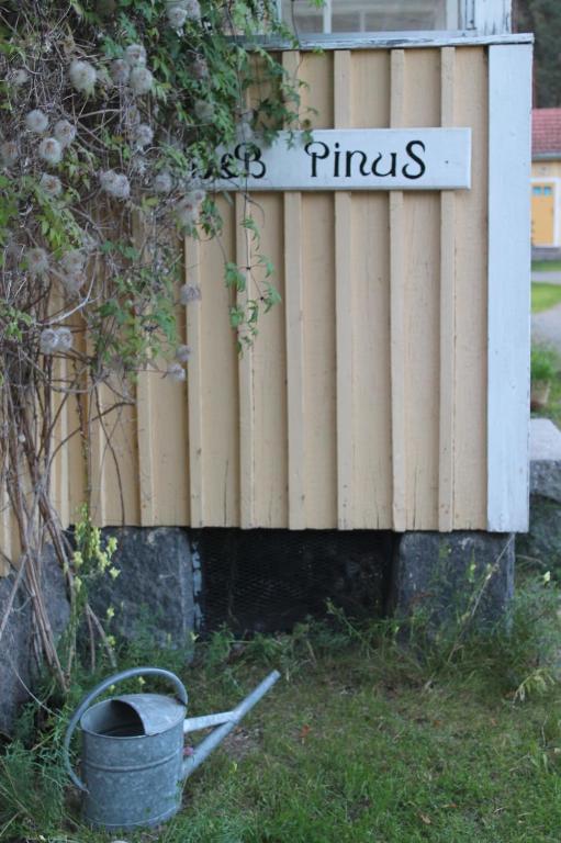 B&B Pinus Mäntyharju Eksteriør billede